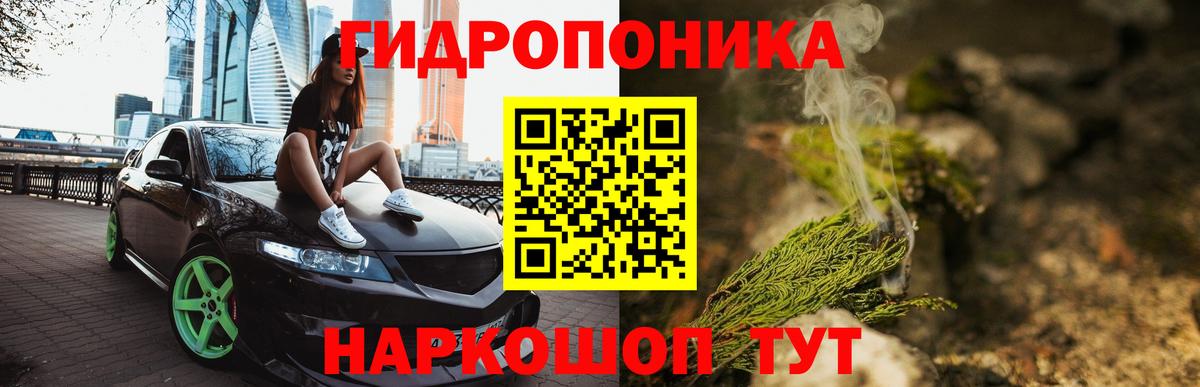 Ишим  МАРИХУАНА план  Вход с VPN  Бошки марихуана планчик  Марихуана Amnesia  Конопля сатива 